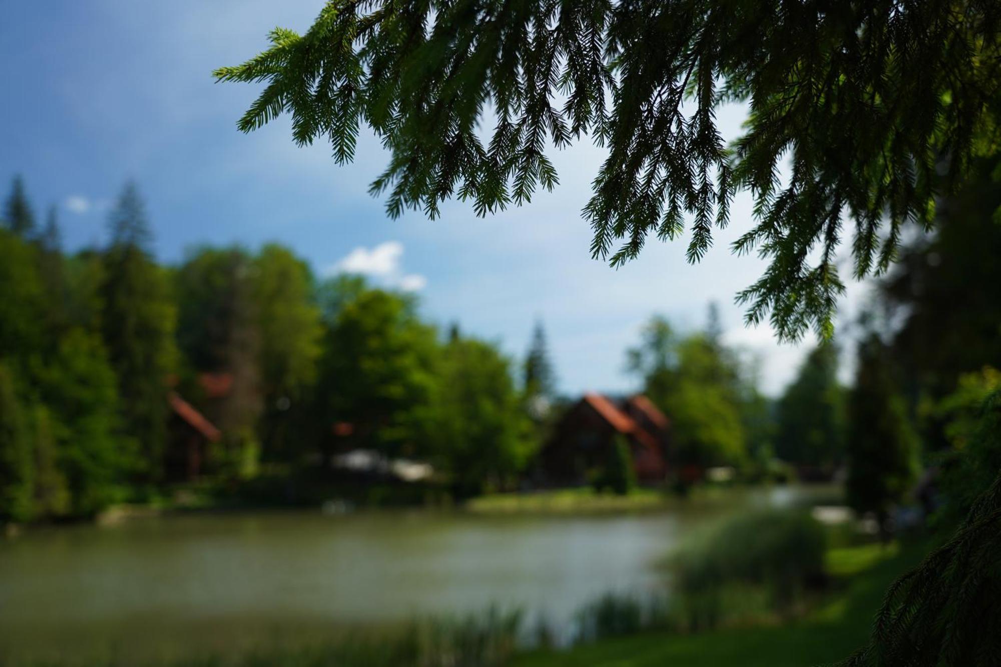 Hotel Ozero Vita Nizhniy Studenyy Zewnętrze zdjęcie
